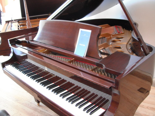 danggeun:hashtagbachswag:chopin—liszt:Steinway & Sons Piano Sale (Disney Concert Hall)ㅠㅠㅠㅠㅠㅠ