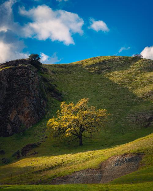 California green hills never disappoint. Sunol Regional Wilderness, CA[OC][ 4912x6140]