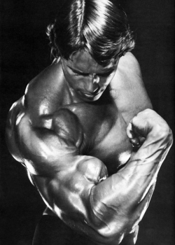 musclegods2:  Arnold Schwarzenegger. Legend.