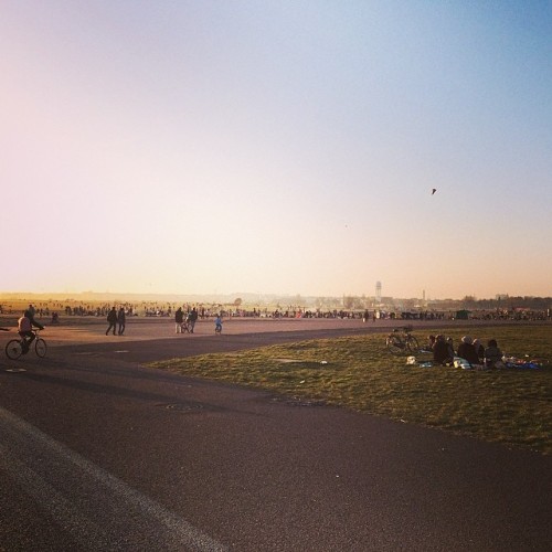 hier: 100% Tempelhofer Feld