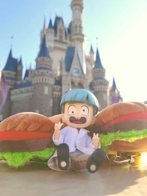 We Go To Disneyland.