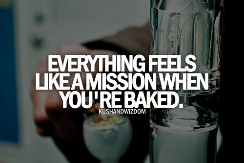 kushandwizdom:  Good Vibes HERE