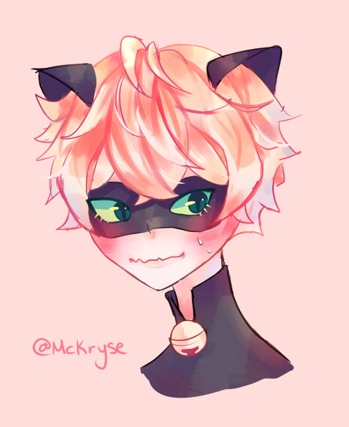 chat noir doodle since i havent drawn him in awhile! ;u;