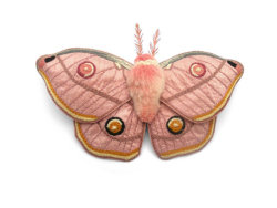 littlealienproducts:  moth hairclip on Etsy