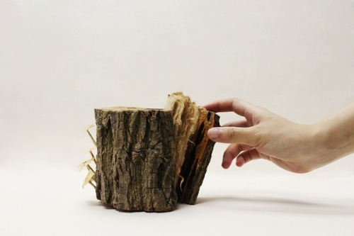 fuckyeahbookarts:Handmade Wooden Book by Pochiko Ho