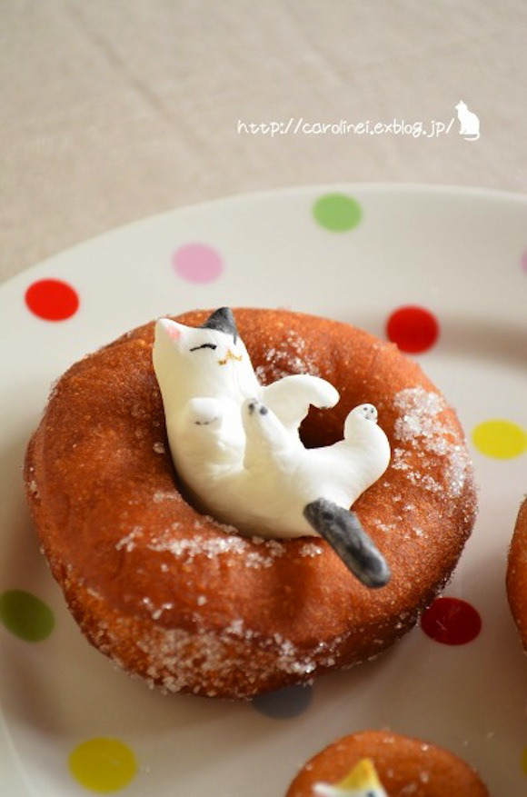 huffingtonpost:  Calling all cat lovers, THIS is your cake.  (Source: Caroline)