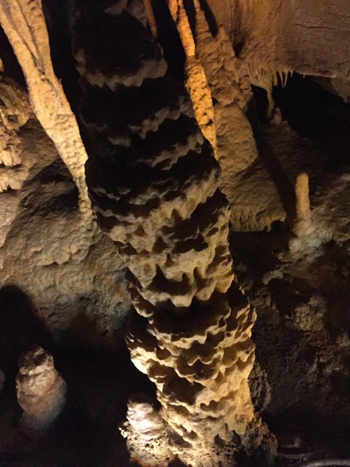 veganmewsings:Mammoth Cave