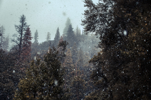 © Aaron Fagerstrom