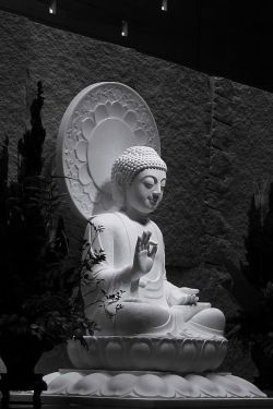 buddhabe:  Buddha  