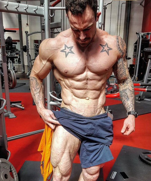 Adonis Files