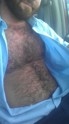 hairystylz:  Top 100 hairy open-shirt pictures!!