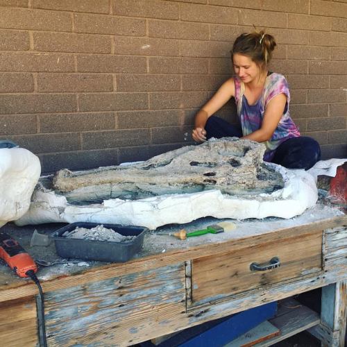 Happy National Fossil Day!Top: articulated phytosaur skull found in Petrified Forest National Park t