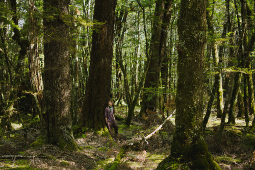 photographybywiebke:In the middle of the woods near Paradise, New Zealand