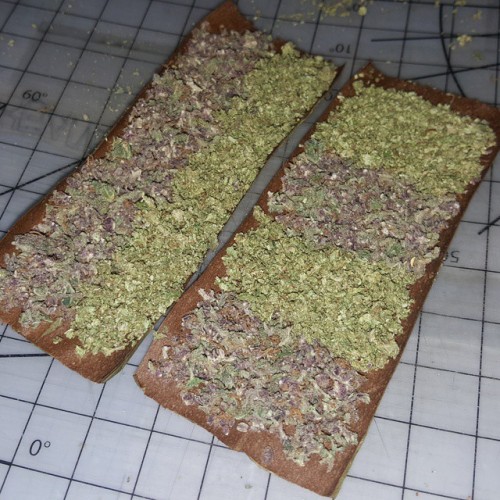 weedporndaily:  