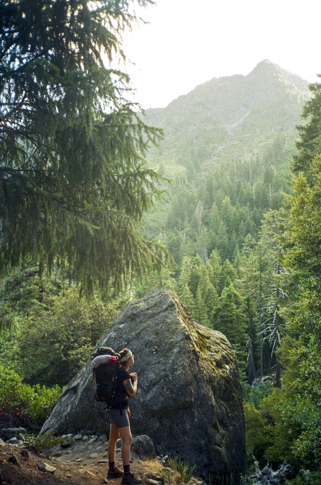 eartheld:   mostly nature 