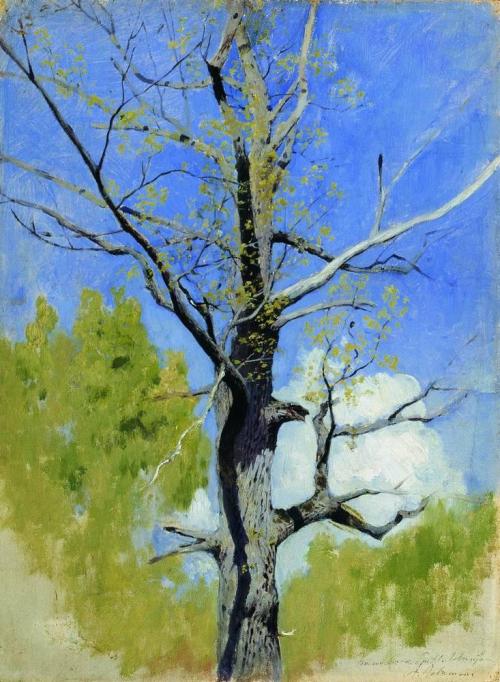 artist-levitan:Trunk of burgeoning oak, 1882, Isaac LevitanMedium: oil,cardboard