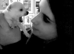 OMG, no!  Too cute!