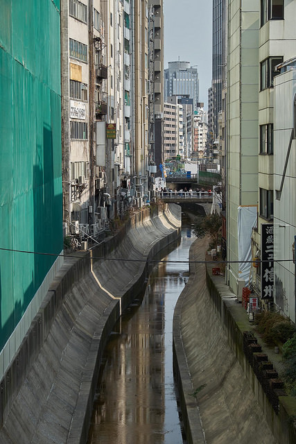 kuroyuki:  DSCF1055 by tohru_nishimura on Flickr.