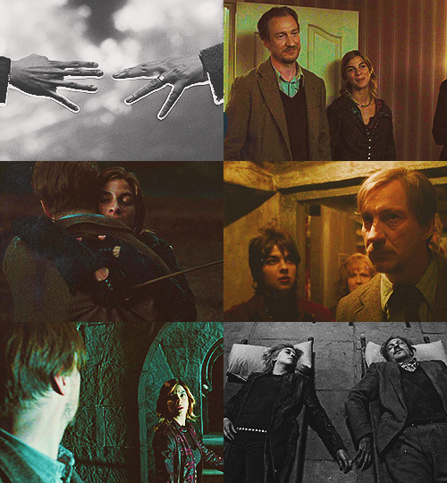 dracosferret:   Harry Potter Meme → five deaths - Nymphadora Tonks & Remus Lupin [3-4/5]  