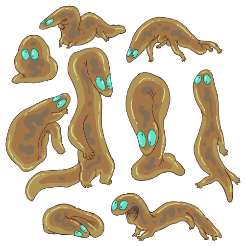 tickfleato:WORM!!!!!!!!!!