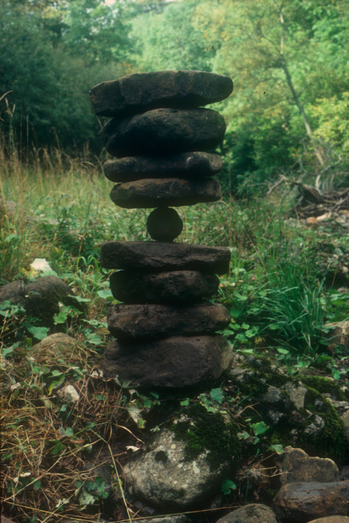 Andy Goldsworthy (British, b. 1956, Cheshire, England) - 1: Serpentine Tree Roots  2: Carefully Brok