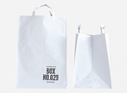 unusualwhite:paper bag
