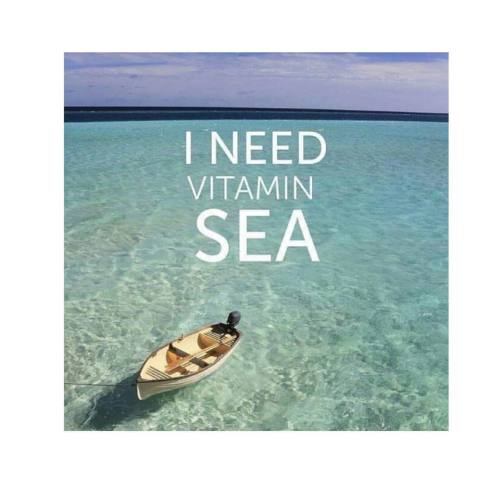 Like if you need some vitamin sea in your life right about now! ☀️