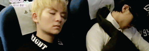 skyluxer:  Look at this cute little sleeping puppies… 