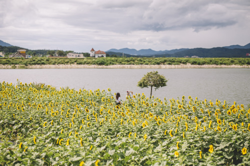 2021-07-17Canon EOS R6 + RF85mm f1.2LInstagram  |  hwantastic79vivid