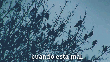 mi-mundo-entre-libros:  &lt;3 para ti JL. (Kodaline, The one) 