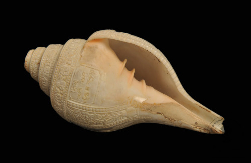 Carved Shanka (conch shell trumpet) Bengal