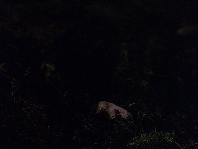 cinemawithoutpeople:  Television without people: Twin Peaks (Pilot, 1990, David