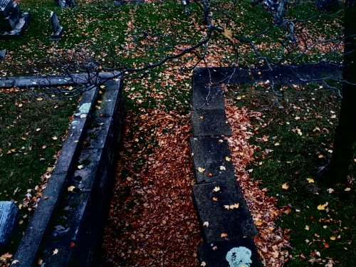 Sex chaosandblueeyes:Boxwood Cemetery, Medina pictures