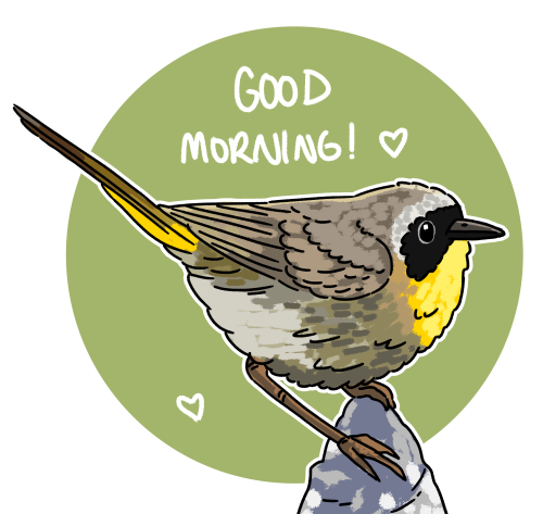 incaseyouart:More morning birbs!! Really enjoying making these~ American Redstart, Snow Bunting, Hor