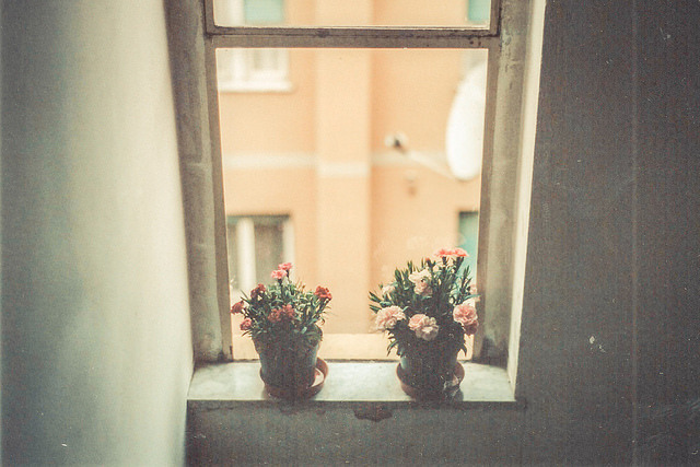 xplodingbunny:  Little things by lucrezia senserini on Flickr. 