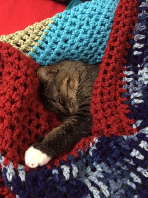 absentlyabbie:you will never be as comfy as this babbyall shall envy her, and despair