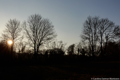 Travelling companions / Compagnons de route From ©Collection Le Perche-Normandie 2011-2016