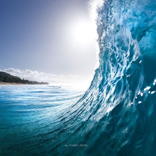seandavey:The north shore sandbars are so good at this time of the year…