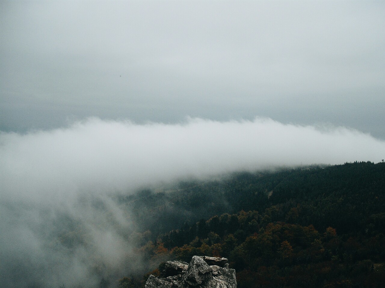 like-the-deep-blue-sea:  Zittauer Gebirge