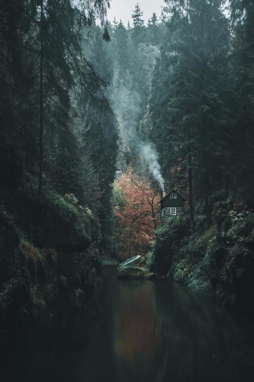 maureen2musings:   Autumn Cabin     _luca_ja_   