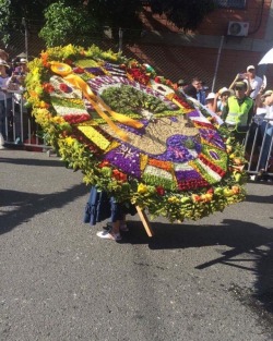 #feriadeflores2017 #desfiledelossilleteros