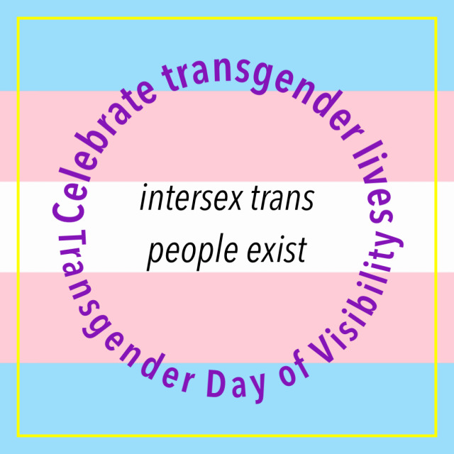 Text over a faded trans pride flag background with a thin yellow square on it. Purple text forming a circle reads: “Celebrate transgender lives. Transgender Day of Visibility.” In the middle of the circle, black text reads “Intersex trans people exist"