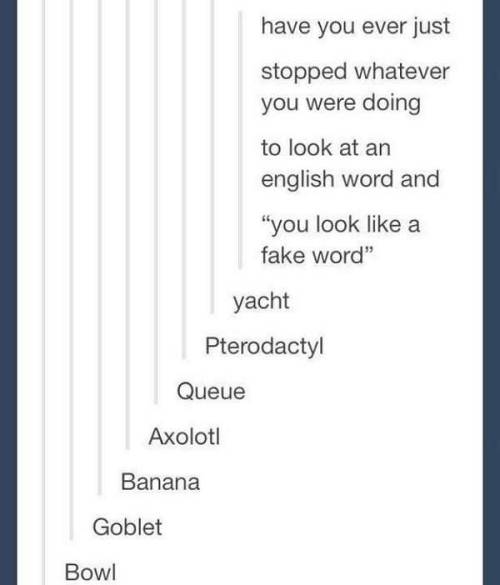 pleatedjeans:18 Examples of the Human Language Being Weird