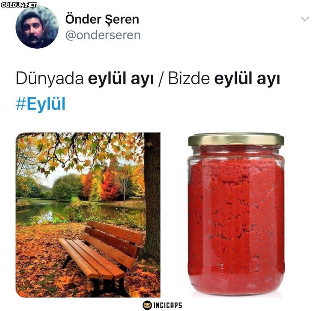 Önder Şeren @onderseren...