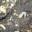 dirt-dust-sand