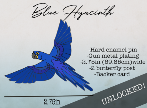 WOO!Blue Hyacinth Macaw was unlocked and we’re already creeping toward Sun Conure stretch goal! Than