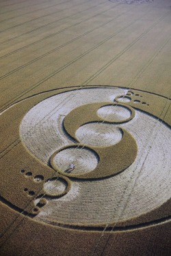 misterlemonzafterlife:  asurarei: Crop circle from Arcturus- Mind Body Spirit- Ying Yang from the cosmos. - http://sola-may.tumblr.com Multi-dimensional blog. follow!!! https://MisterLemonzAfterlife.tumblr.com/archive