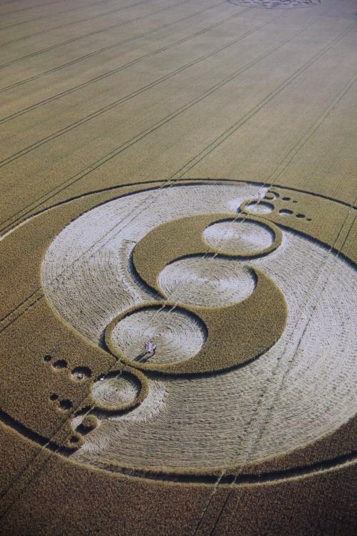 asurarei:  Crop circle from Arcturus- Mind Body Spirit- Ying Yang from the cosmos. - http: