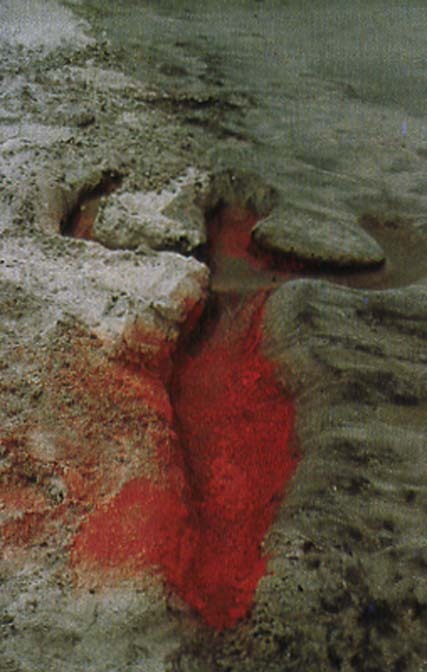 nearlya:Ana Mendieta. Siluetas