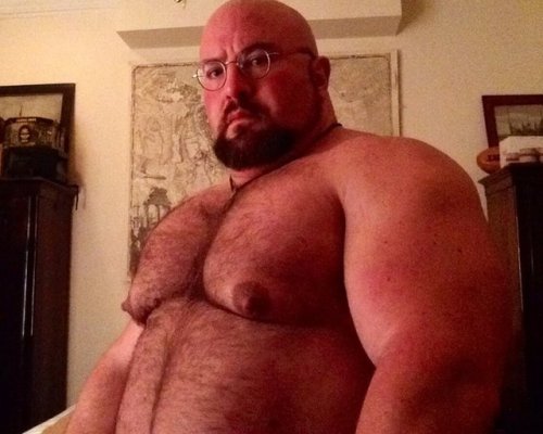 musclebear